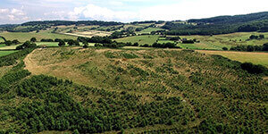 The Solite Carbon Offsetting Project